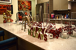 HOLIDAYS IN THE CITY